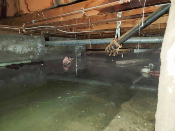 Best Basement water damage restoration  in Richfield, UT