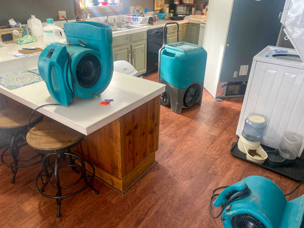 Best Local water damage restoration  in Richfield, UT